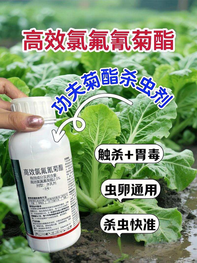 蛟河代生中心:农药对供卵代生妈妈的危害